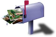 Alert Mail